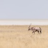 Namibia-2