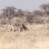 Namibia-3