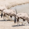 Namibia-31