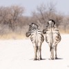 Namibia-4