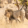 Namibia-48