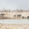 Namibia-5