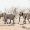 Namibia-7