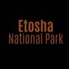 namibia-etosha-title