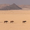 Namibia-216