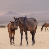 Namibia-219