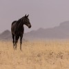 Namibia-221