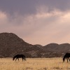 Namibia-222