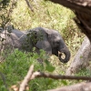 okavango-008