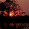 okavango-019