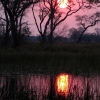 okavango-020