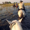 okavango-022