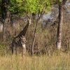 okavango-033