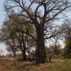 okavango-045