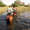 okavango-056