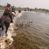 okavango-057