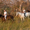 okavango-064