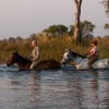 okavango-065