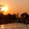 okavango-068