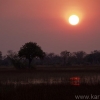 okavango-073