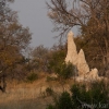 okavango-076