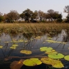 okavango-080