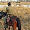 okavango-091