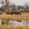 okavango-092