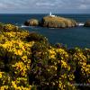 pembrokeshire-22